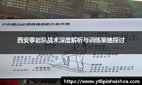 西安攀岩队战术深度解析与训练策略探讨